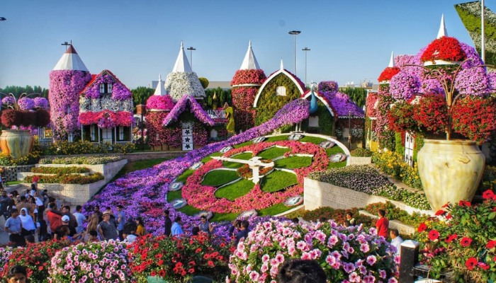 UAE has a Vast Range of Natural Beauty